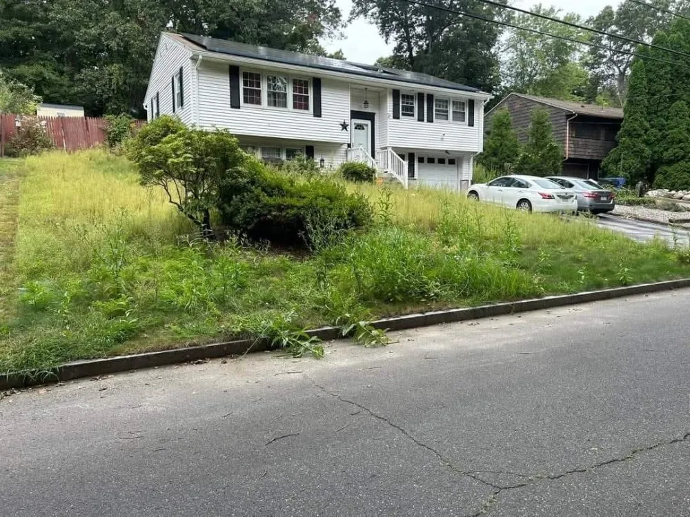 Affordable outdoor landscaping in Springfield, MA - Master Lawn Care Solution