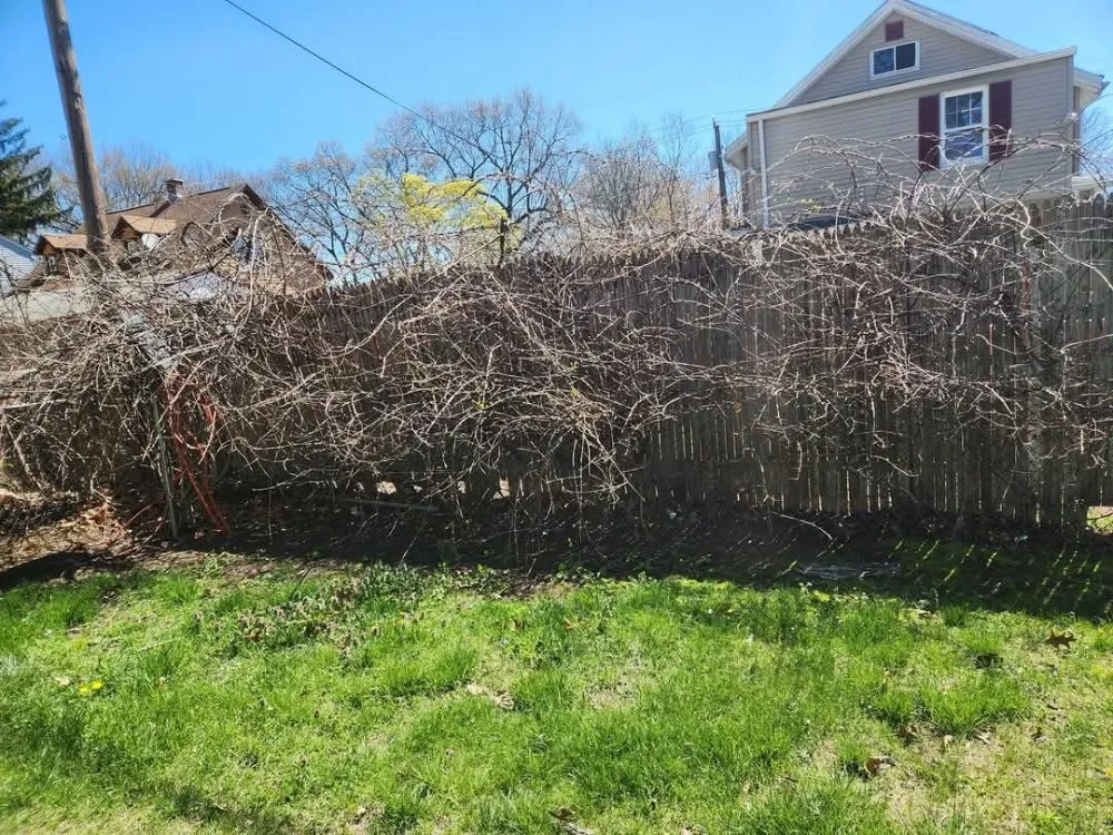 Top-rated garden landscaping in Springfield, MA - Master Lawn Care Solution