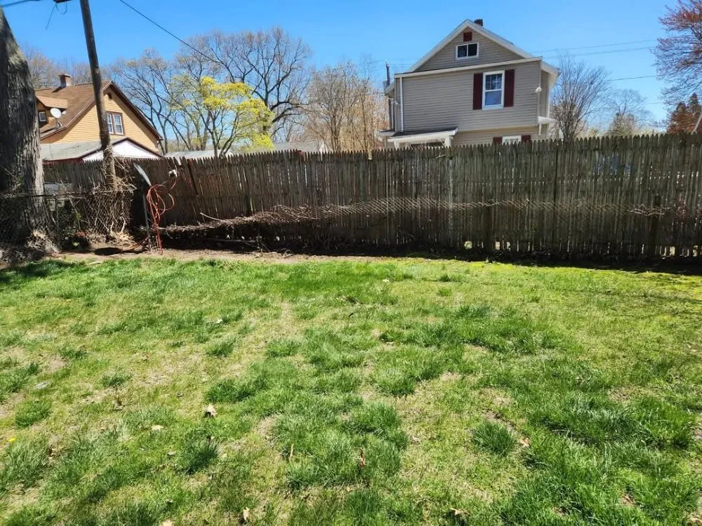 Affordable landscape design for year-round maintenance in Springfield, MA by Master Lawn Care Solution