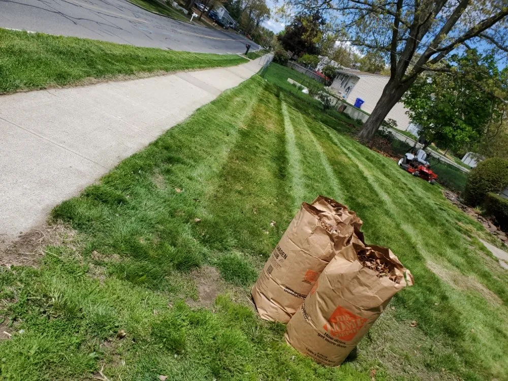 Trusted landscaping services near you in Springfield, MA by Master Lawn Care Solution