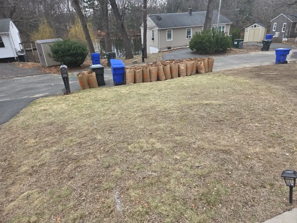 Professional lawn care service for beautiful yards across Springfield, MA - Master Lawn Care Solution