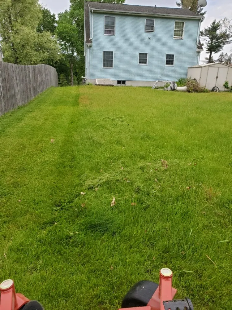 Affordable landscape installation for residential properties across Springfield, MA - Master Lawn Care Solution