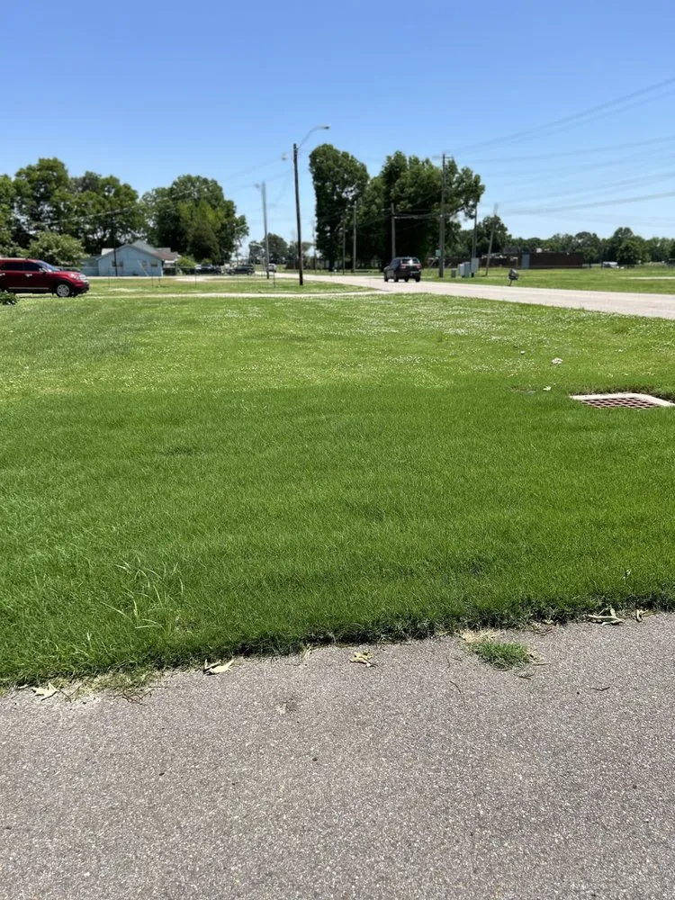 Trusted yard cleanup service experts serving Collierville, TN - Master Lawn