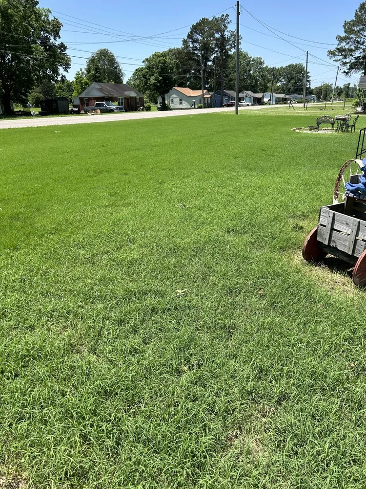 Professional landscape installation near you across Collierville, TN - Master Lawn