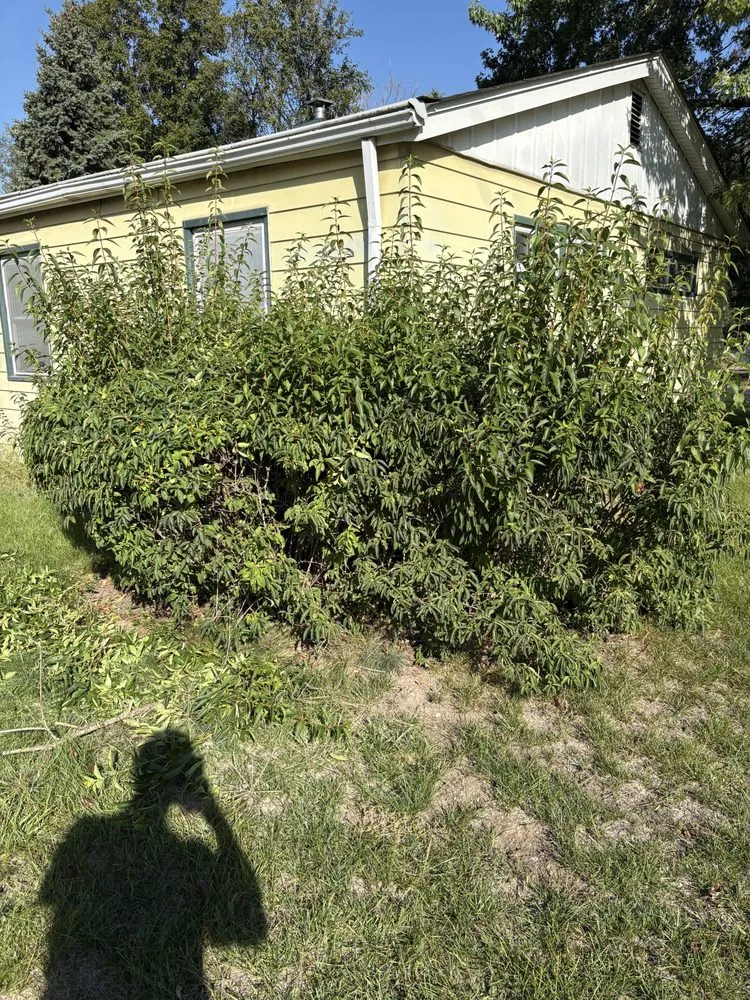 Top-rated garden landscaping for year-round maintenance across Hammond, IN - Master Lawn Management