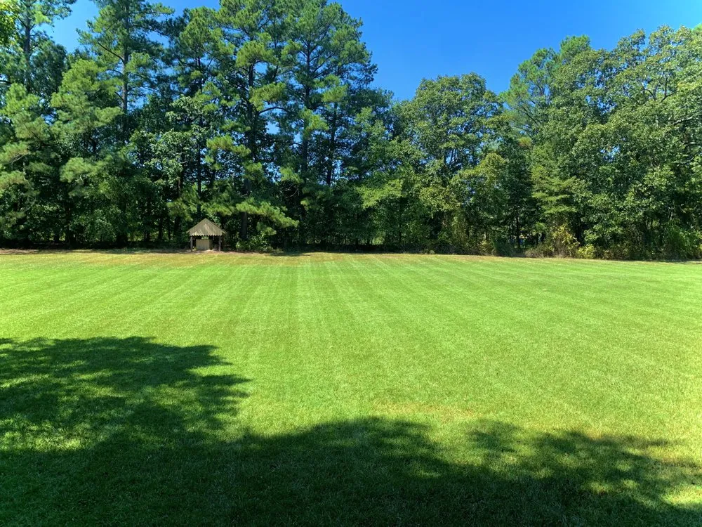 Reliable yard cleanup service in Durham, NC by Master Lawncare
