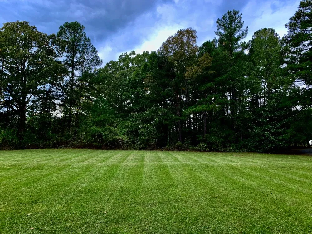 Affordable yard cleanup service for residential properties across Durham, NC - Master Lawncare