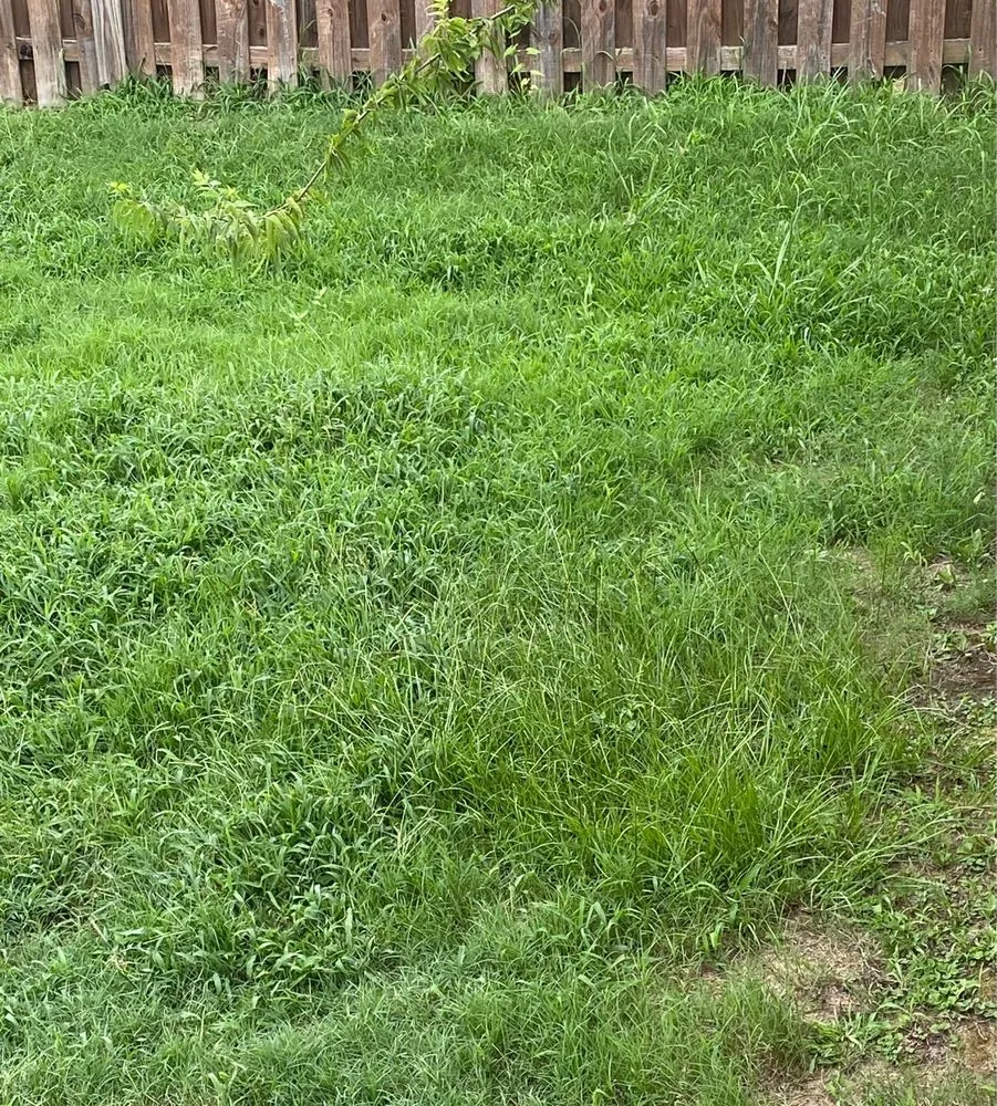 Top-rated outdoor landscaping in Grovetown, GA - Master Lawns