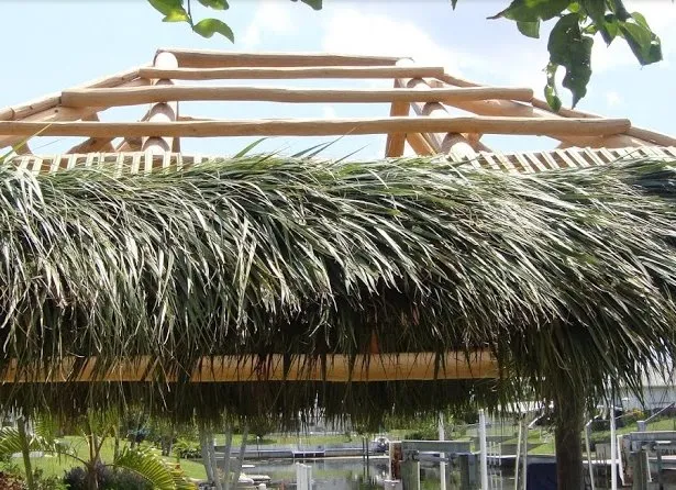 Top-rated yard maintenance in Fort Myers, FL - Master of Disaster Land Care