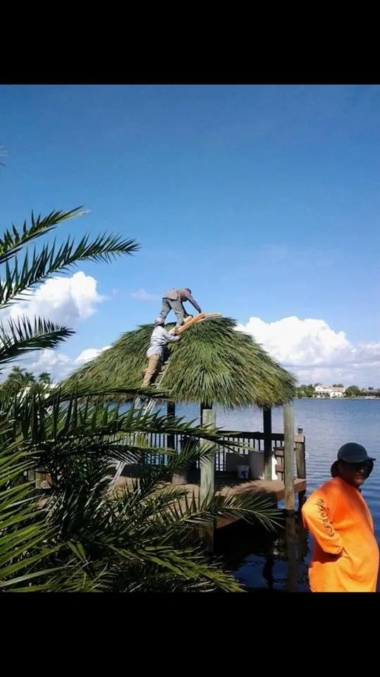 Local yard cleanup service experts serving Fort Myers, FL - Master of Disaster Land Care