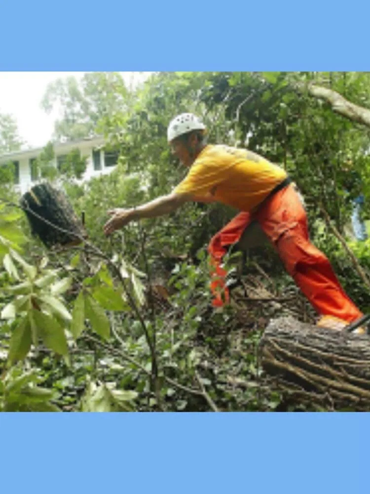 Top-rated garden landscaping in Fort Myers, FL - Master of Disaster Land Care
