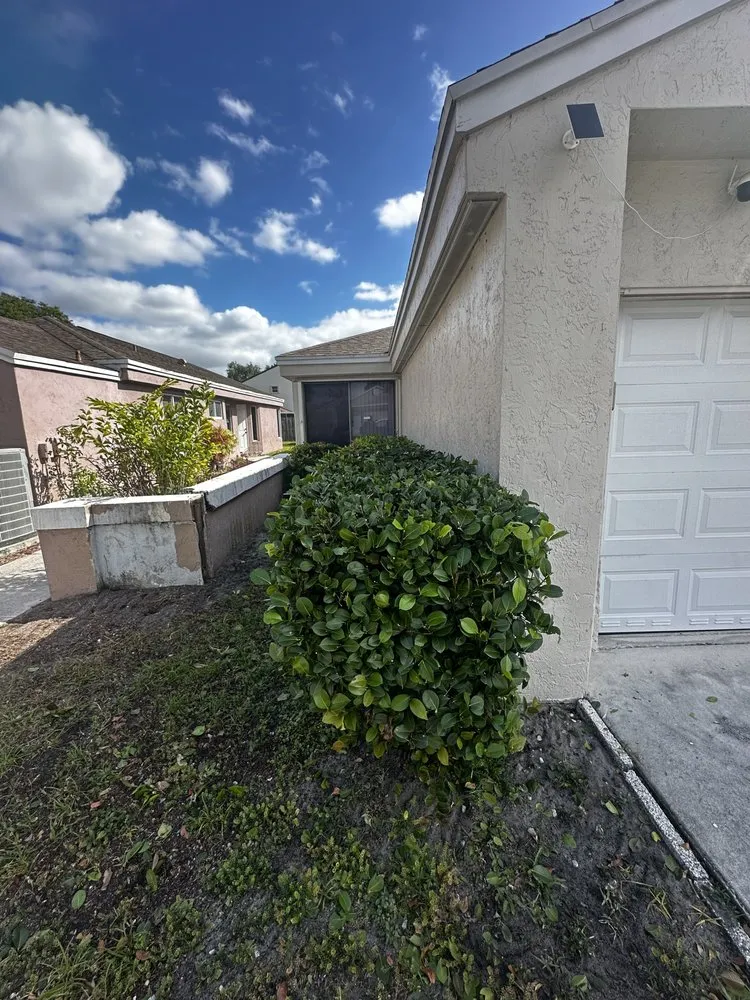 Reliable lawn care service for residential properties across Coral Springs, FL - Master of Grass