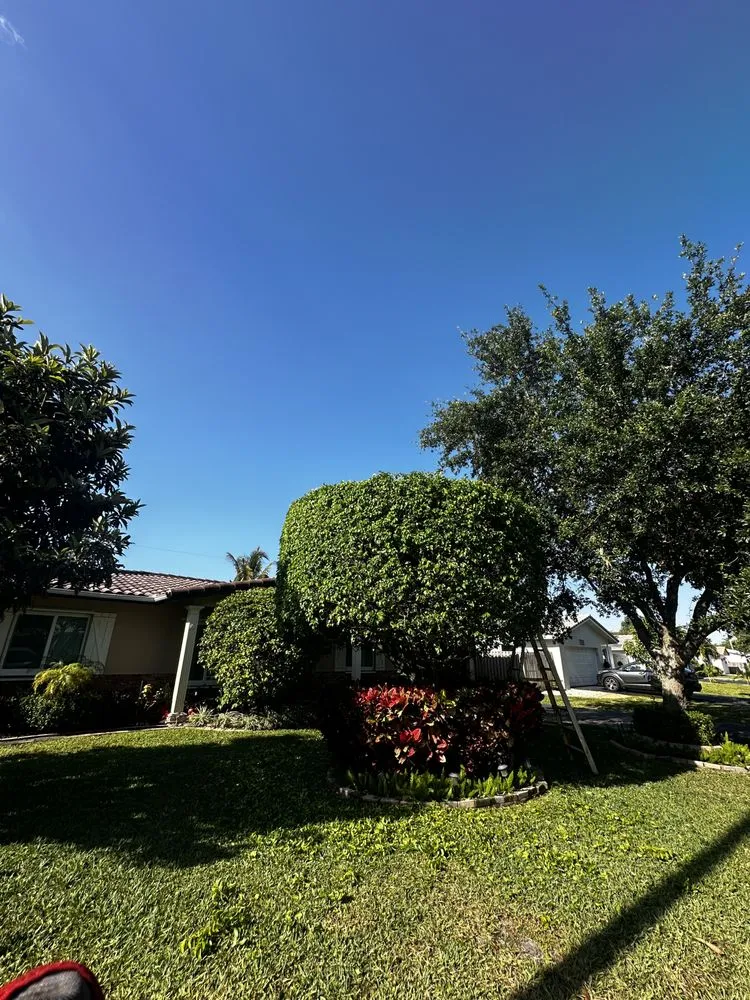 Local landscape design in Coral Springs, FL by Master of Grass