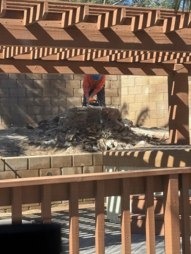 Professional garden landscaping in Palmdale, CA by Master Of Tree Care Services