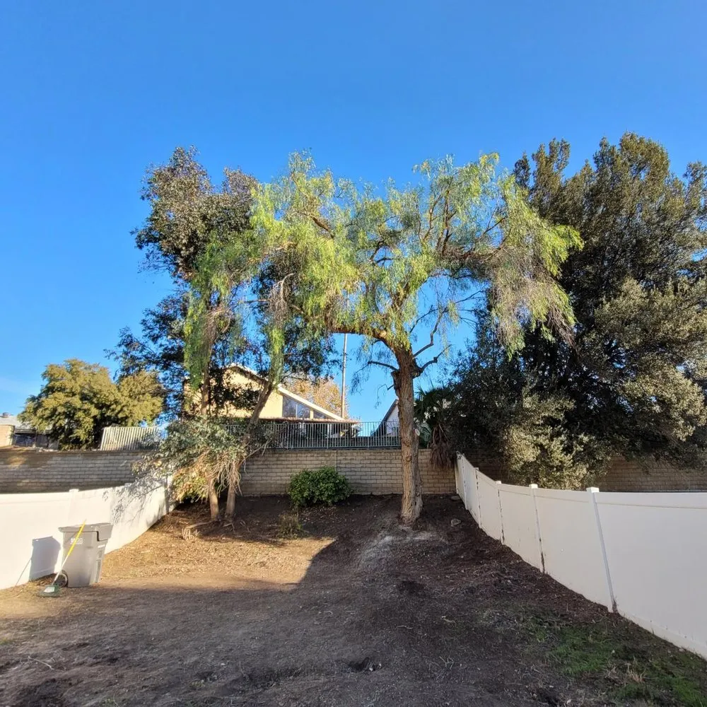 Professional landscaping services for outdoor upgrades across Palmdale, CA - Master Of Tree Care Services