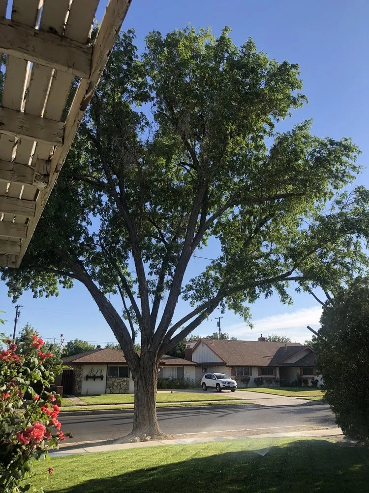 Top-rated garden landscaping in Palmdale, CA by Master Of Tree Care Services