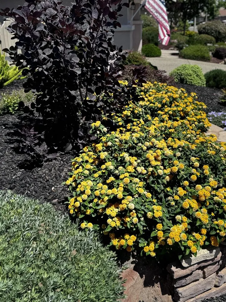 Local lawn care service experts serving Rocklin, CA - Master Pavers and Landscaping