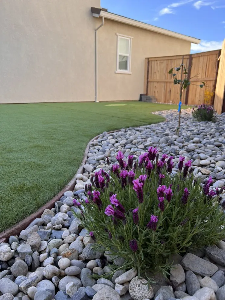 Affordable yard maintenance in Rocklin, CA - Master Pavers and Landscaping