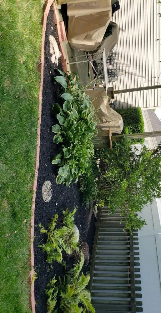 Affordable yard maintenance with custom design across Columbus, OH - Master Scape Yard Services