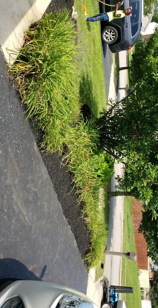 Reliable landscaping services near you in Columbus, OH by Master Scape Yard Services