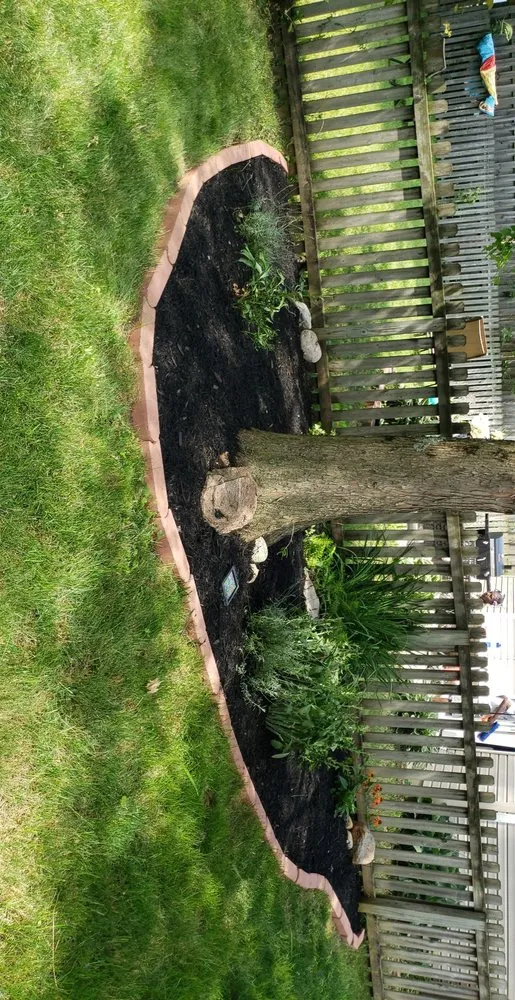 Trusted lawn care service in Columbus, OH by Master Scape Yard Services