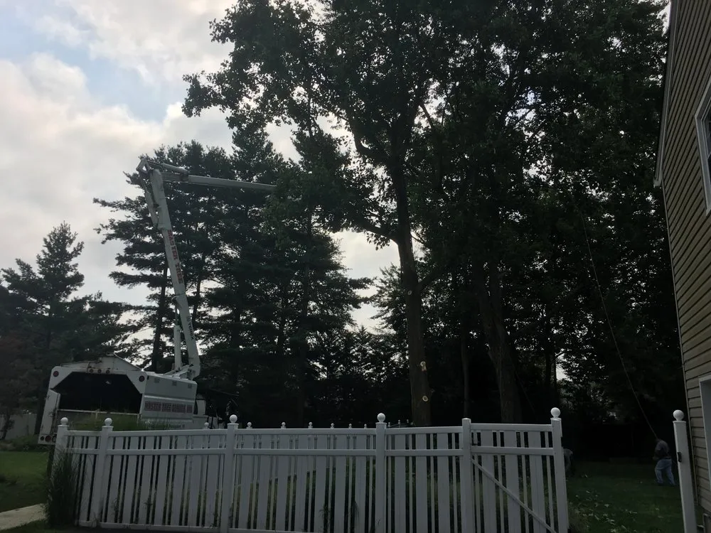 Custom garden landscaping experts serving East Hanover, NJ - Master Services