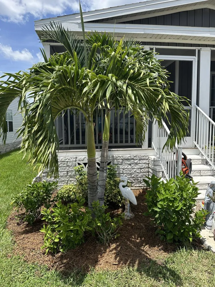 Trusted residential landscaping in North Fort Myers, FL - Master Tech Landscaping