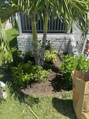 Master Tech Landscaping