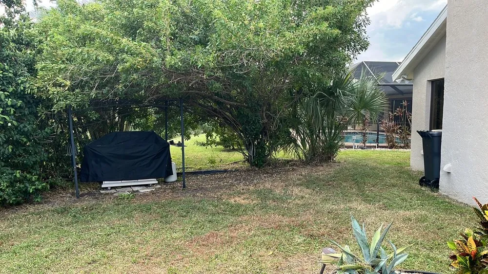 Affordable yard cleanup service for outdoor upgrades in Sarasota, FL by Master Tech Services Inc