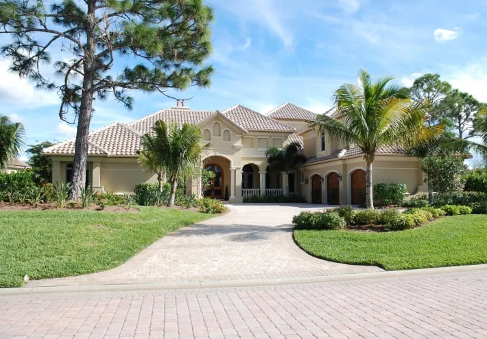 Expert yard cleanup service in Sarasota, FL - Master Tech Services Inc