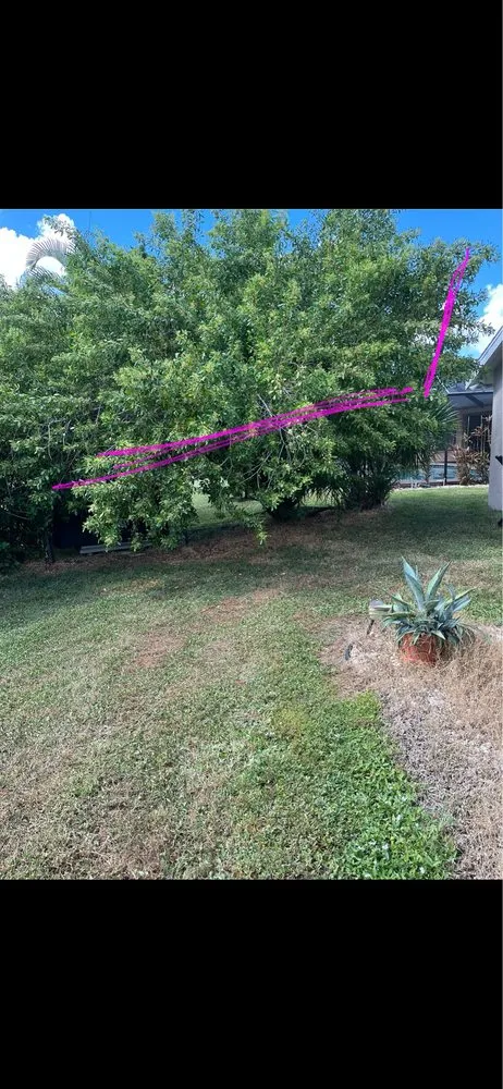 Professional garden landscaping experts serving Sarasota, FL - Master Tech Services Inc