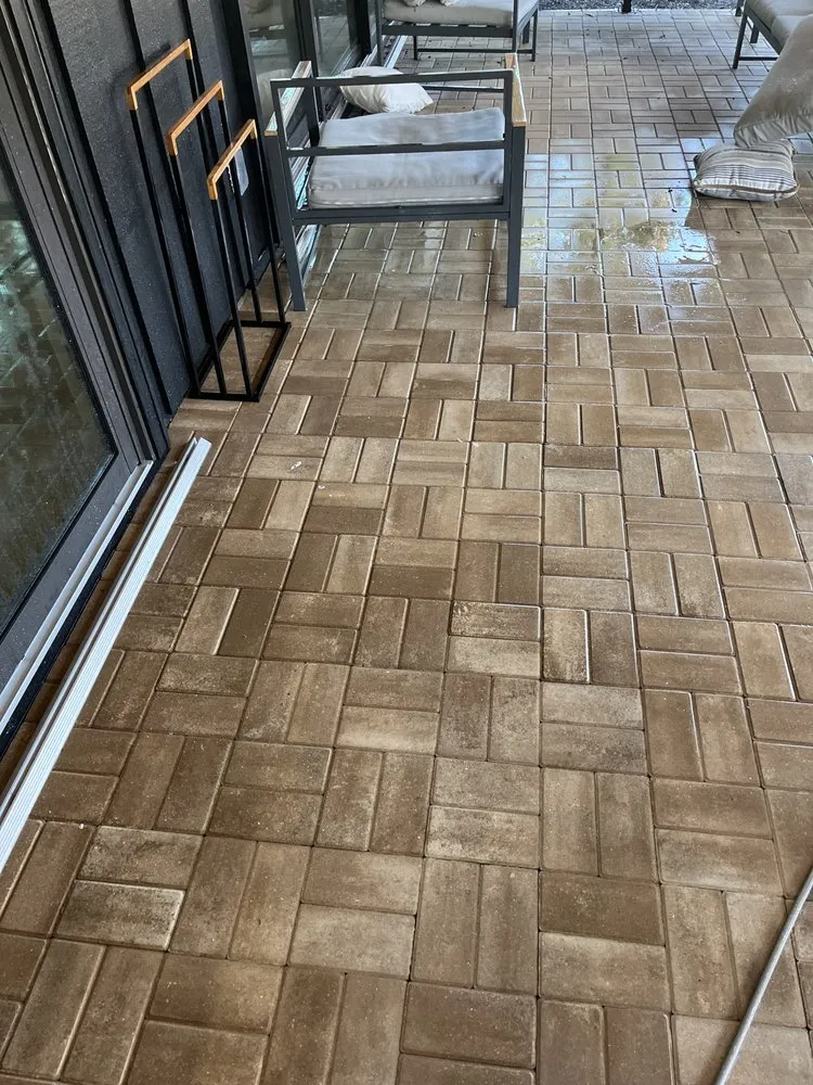 Affordable landscaping services for beautiful yards in Sarasota, FL by Master Tech Services Inc