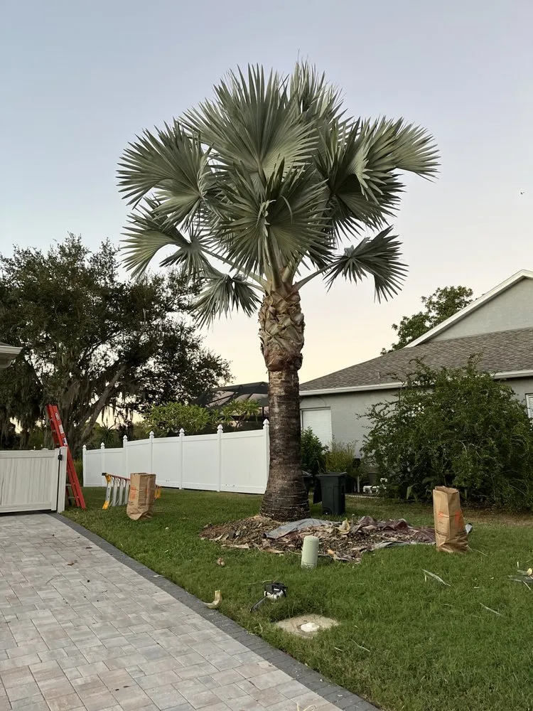 Local lawn mowing service experts serving Sarasota, FL - Master Tech Services Inc