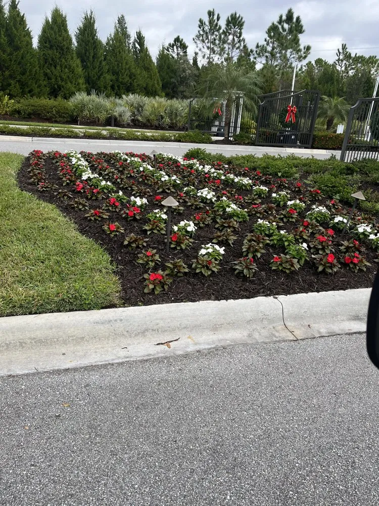 Professional landscape design in Sarasota, FL - Master Tech Services Inc