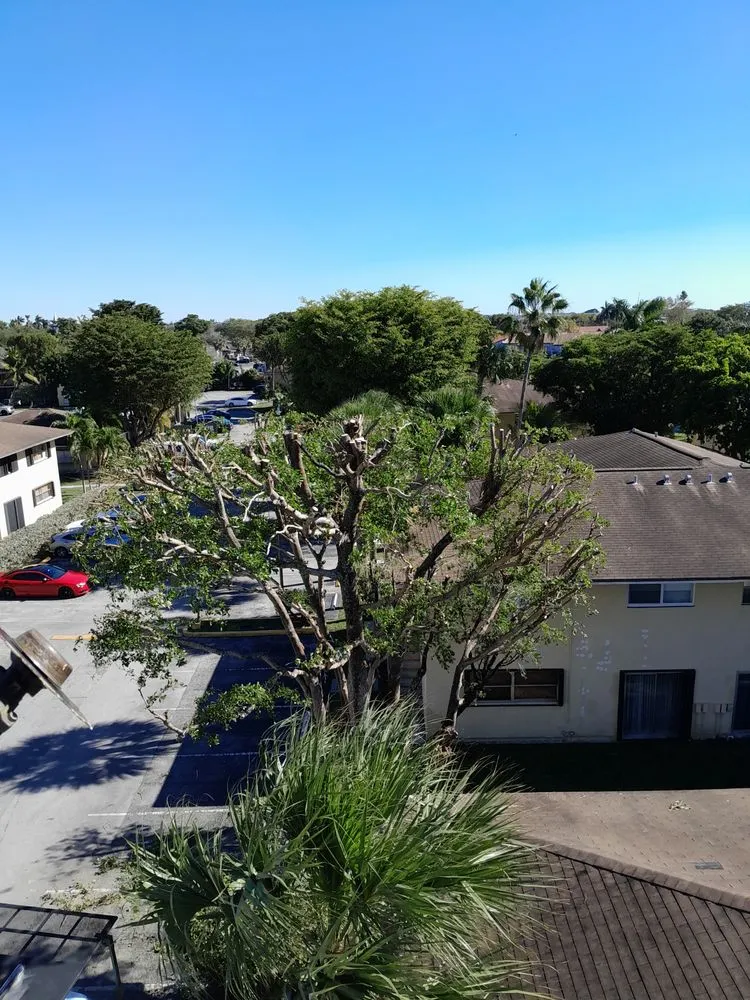 Affordable landscaping services in Naranja, FL - Master Tree and Lawn Service