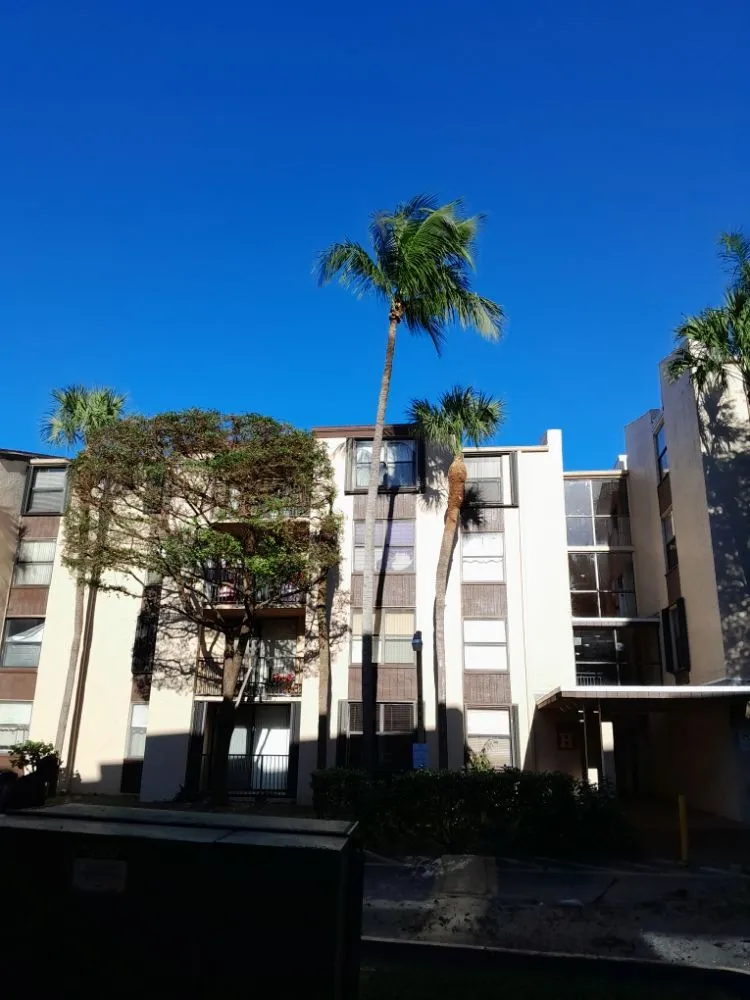 Reliable landscaping services experts serving Naranja, FL - Master Tree and Lawn Service