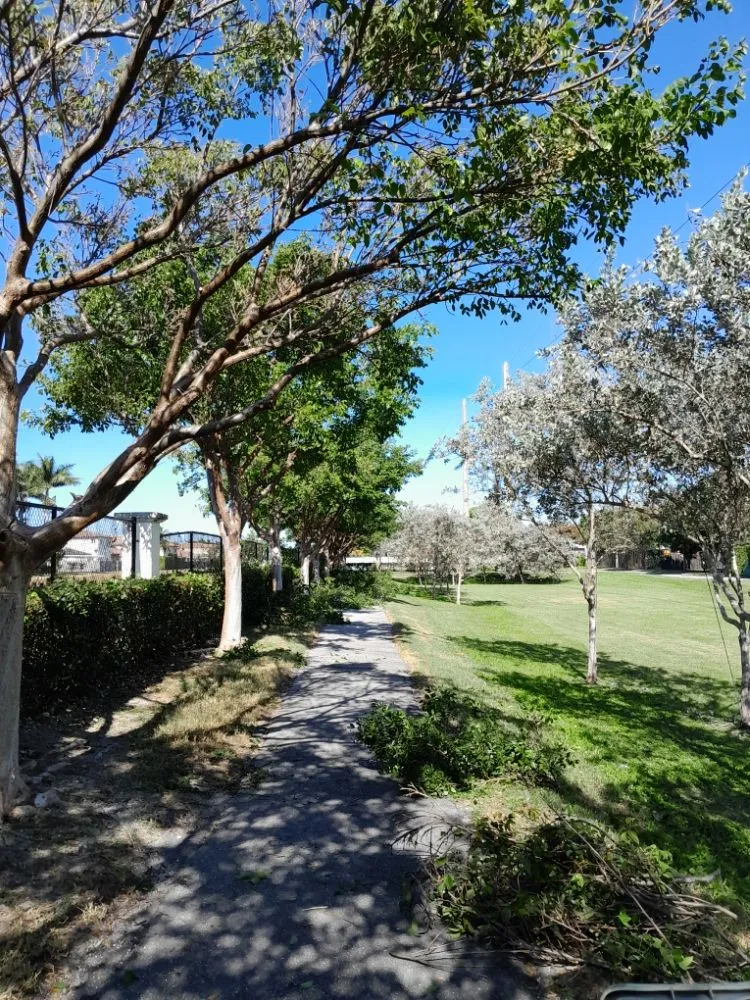 Custom yard maintenance in Naranja, FL by Master Tree and Lawn Service