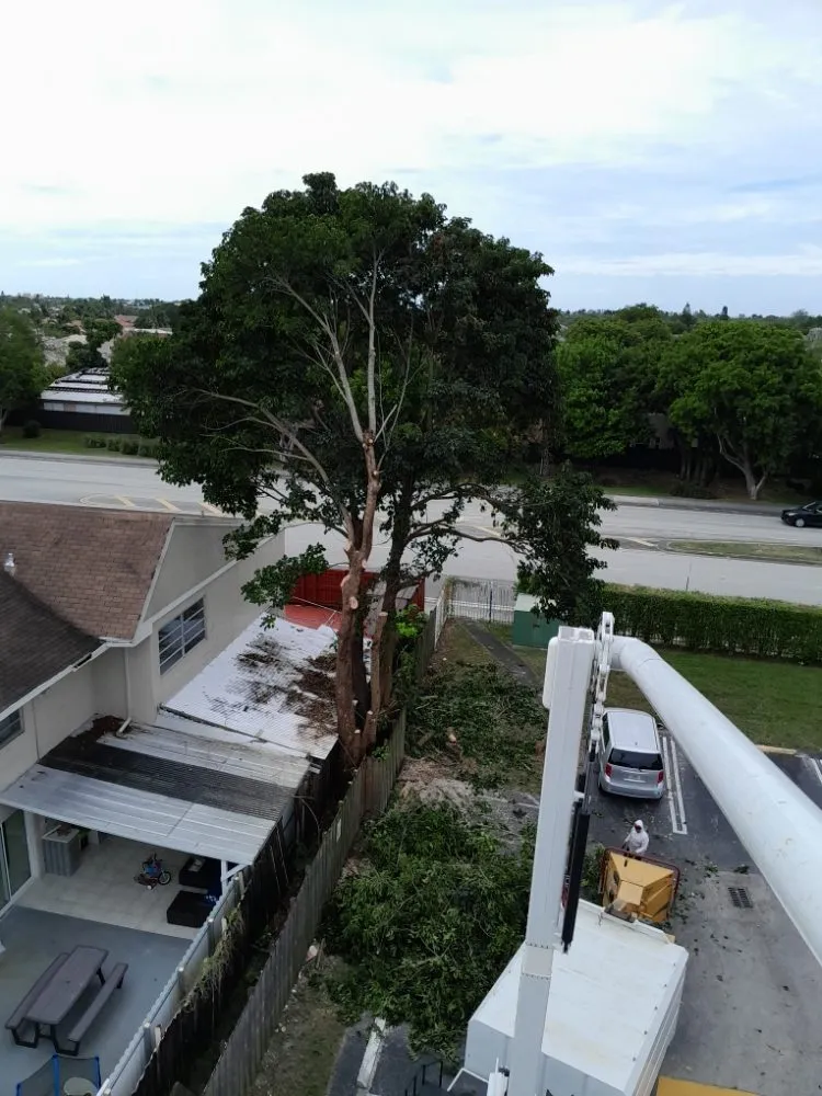 Trusted landscaping services in Naranja, FL by Master Tree and Lawn Service