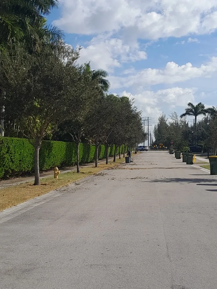 Affordable outdoor landscaping experts serving Naranja, FL - Master Tree and Lawn Service