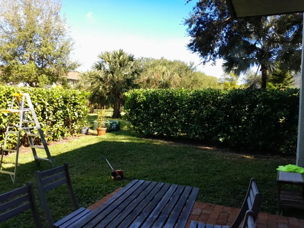Reliable lawn care service experts serving Naranja, FL - Master Tree and Lawn Service