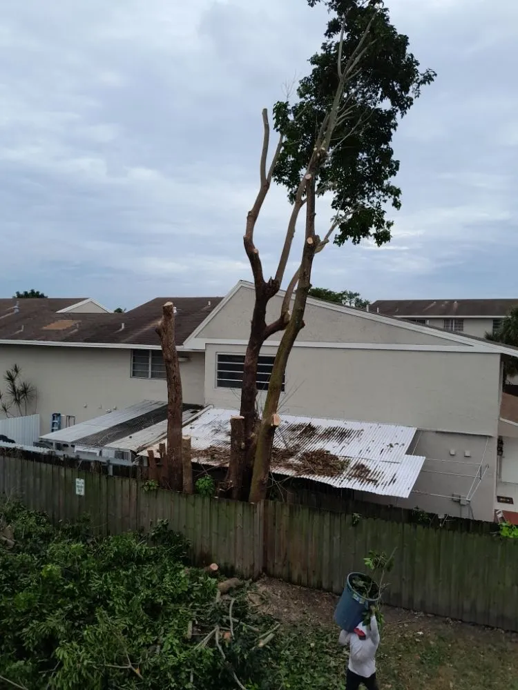 Top-rated lawn care service with custom design across Naranja, FL - Master Tree and Lawn Service