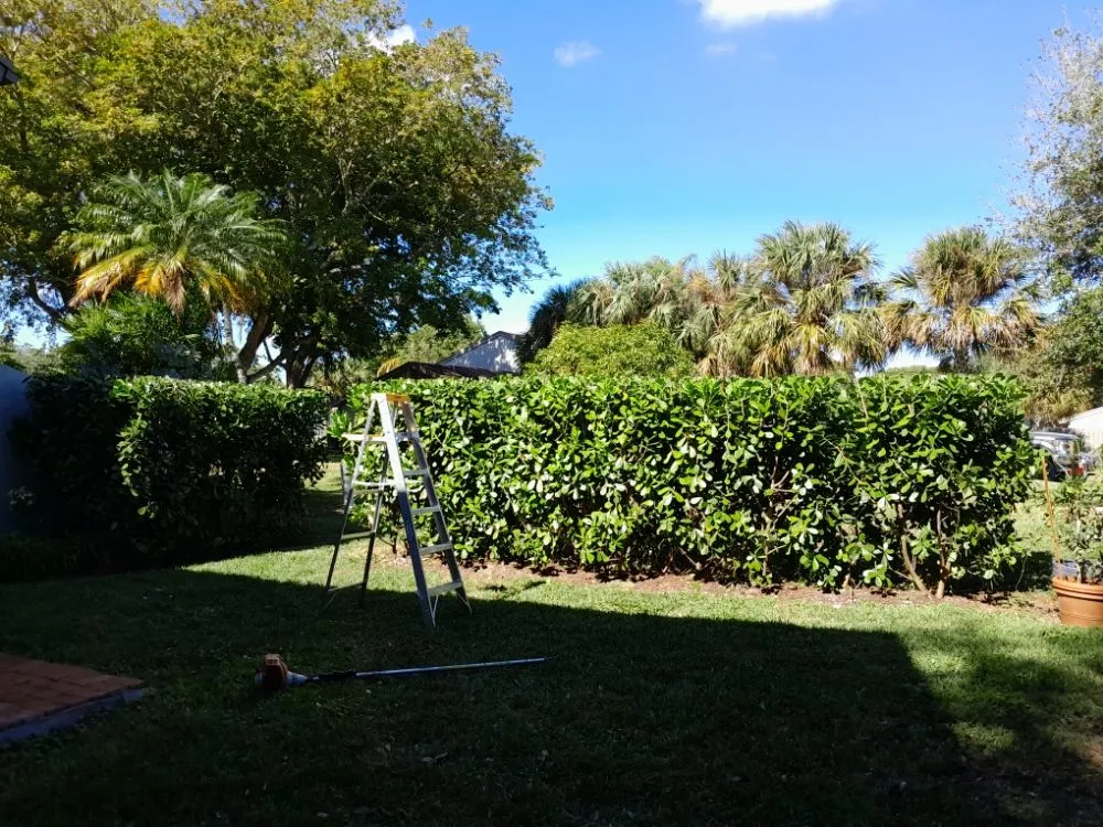 Local outdoor landscaping experts serving Naranja, FL - Master Tree and Lawn Service