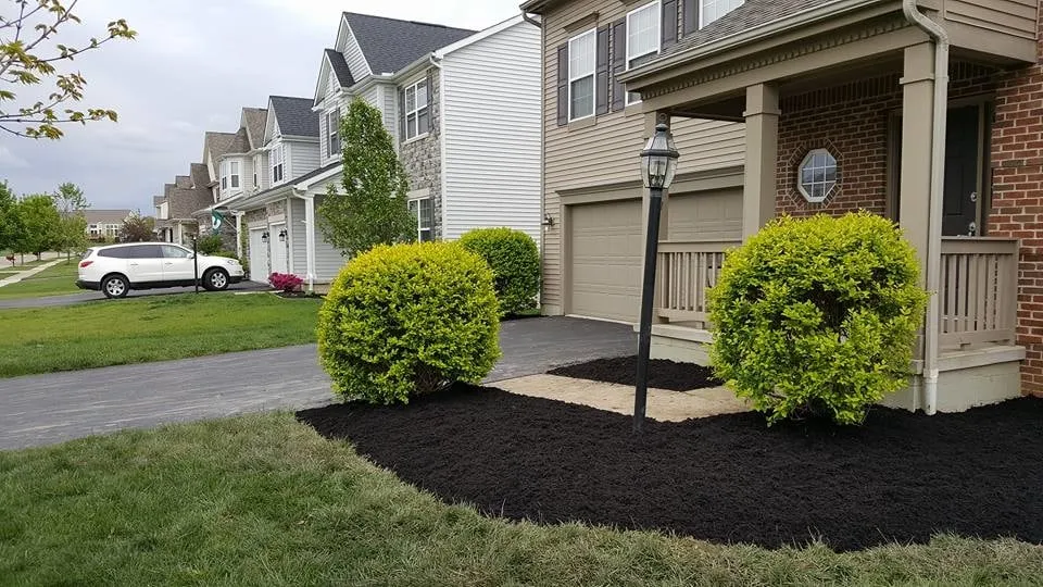 Professional yard cleanup service experts serving Lancaster, OH - Master Turf Lawn Care