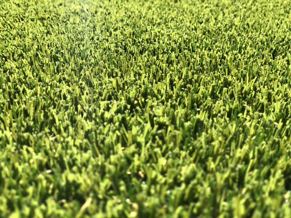 Professional yard maintenance for outdoor upgrades across San Diego, CA - Master turf