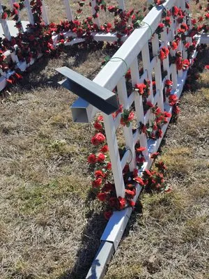 Master Weyand lawn care