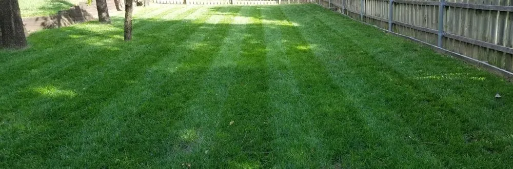 Top-rated landscape installation for beautiful yards in Edmond, OK by Master Yard Service