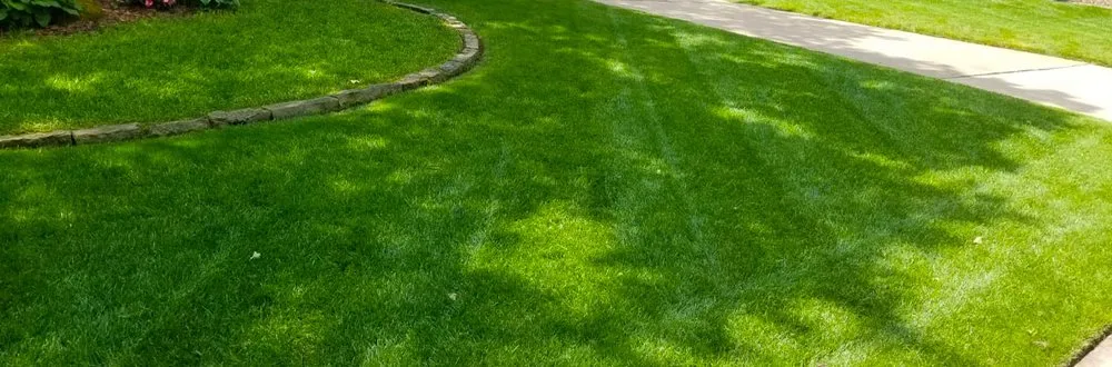 Custom yard cleanup service in Edmond, OK - Master Yard Service