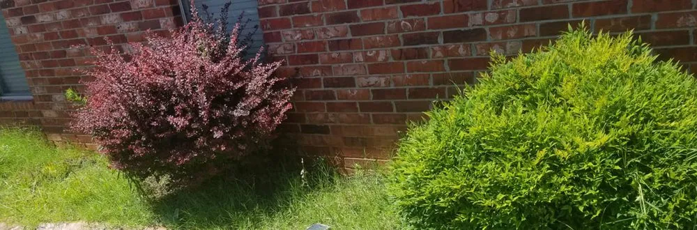 Custom outdoor landscaping for homes across Edmond, OK - Master Yard Service