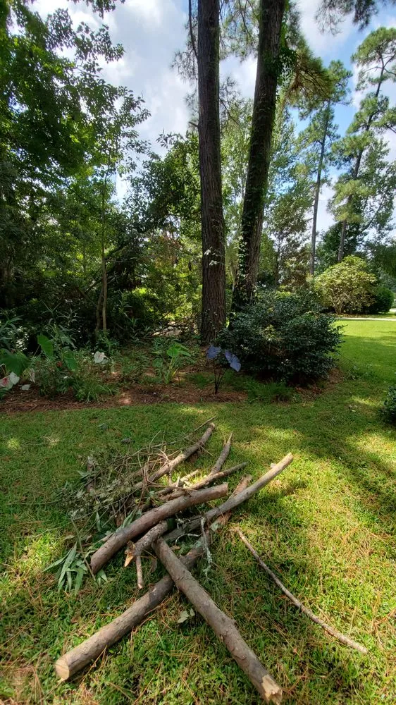 Local landscape installation in Myrtle Beach, SC by Mastercare Tree Service