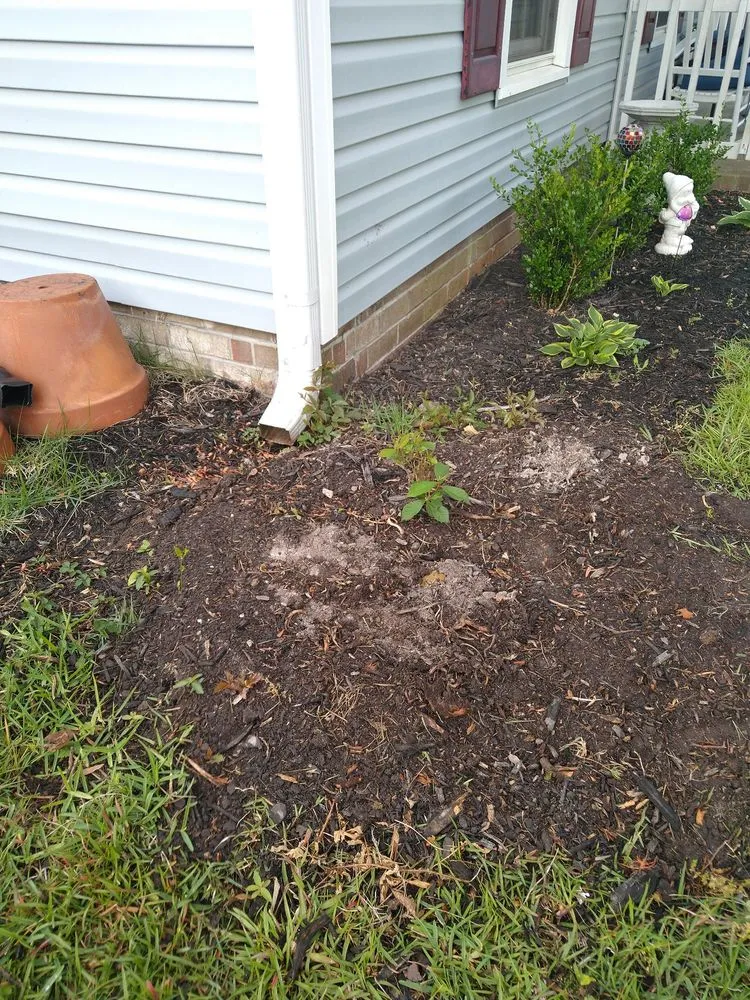 Professional outdoor landscaping experts serving Myrtle Beach, SC - Mastercare Tree Service